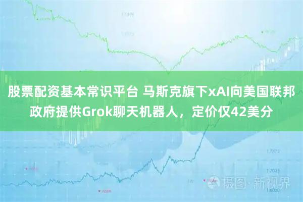 股票配资基本常识平台 马斯克旗下xAI向美国联邦政府提供Grok聊天机器人，定价仅42美分