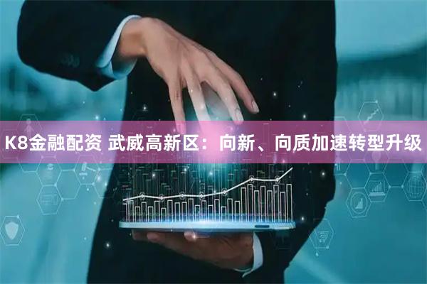 K8金融配资 武威高新区：向新、向质加速转型升级