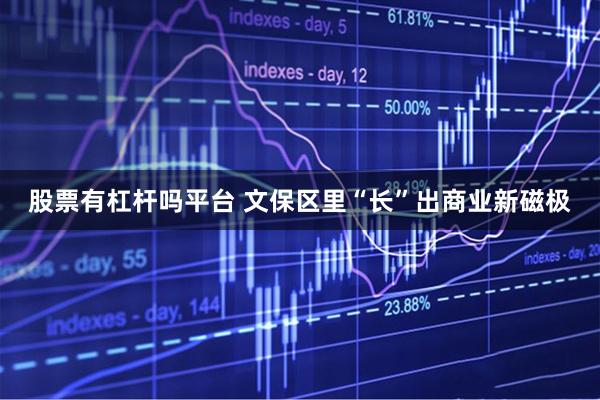 股票有杠杆吗平台 文保区里“长”出商业新磁极