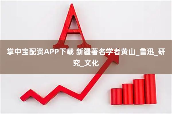 掌中宝配资APP下载 新疆著名学者黄山_鲁迅_研究_文化